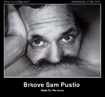 brkove-sam-pustio.jpg