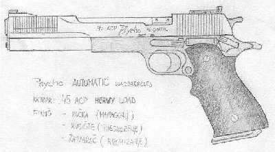 gun.JPG