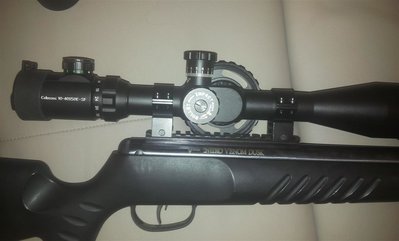 20161018_103244 (Medium).jpg (80.58 KiB) Viewed 9185 times 20161018_103244 (Medium).jpg