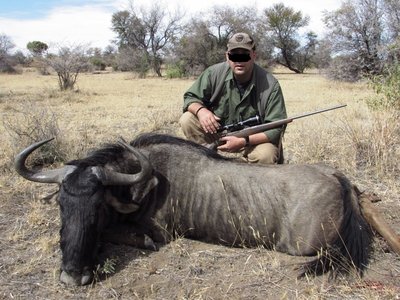 Blue wildebeest.JPG