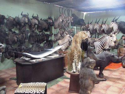 Fish and the rest.JPG