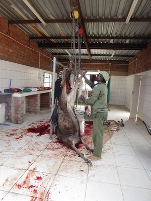 Skinning.JPG
