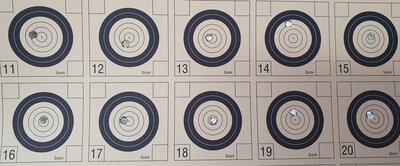 SK Biathlon 50m