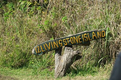 11 vic falls.JPG