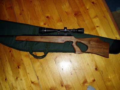 gun1.JPG