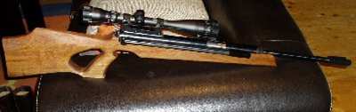 gun3.JPG