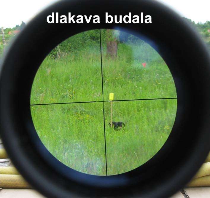 sudac2.jpg