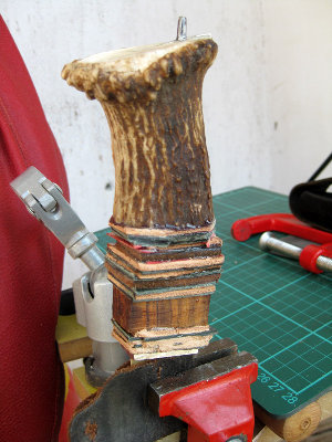 p1.jpg