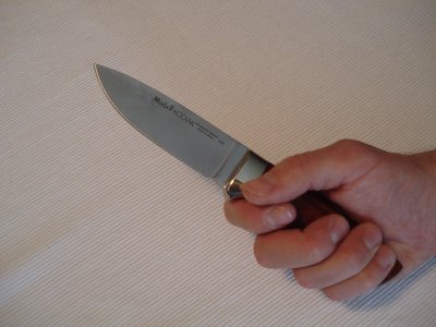 Udobno mi sjedi u ruci