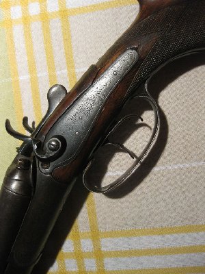 IMG_0995.jpg