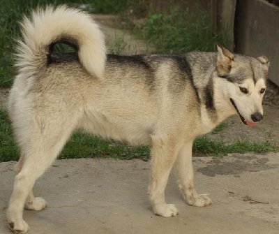 frajerova cura koja mu je ujedno i čista suprotnost