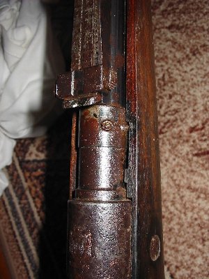 257-5773_IMG.JPG