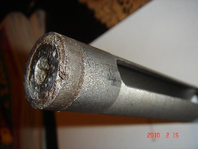 DSC03287-medium.JPG