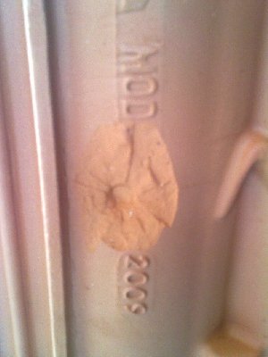 24032010101 (800 x ratio).jpg