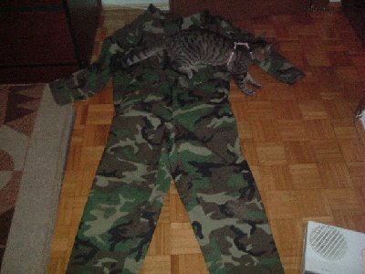 gore-tex.JPG