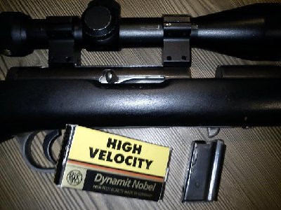smanjena.7.JPG